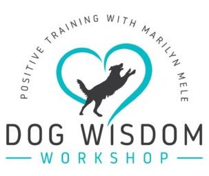 Dog Wisdom Workshop
